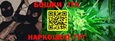 индика Пугачёв