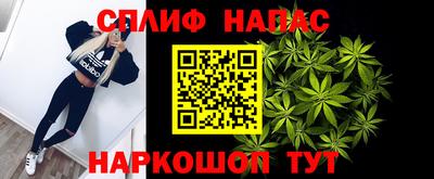 индика Пугачёв