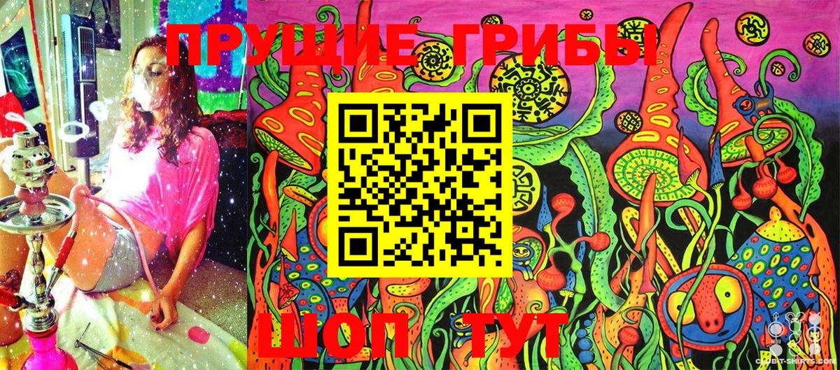 Псилоцибиновые грибы Cubensis  Вход с VPN  Строитель 